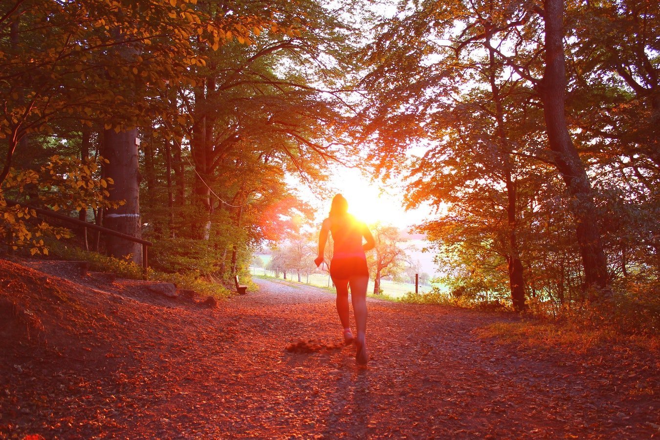 energiek de herfst door